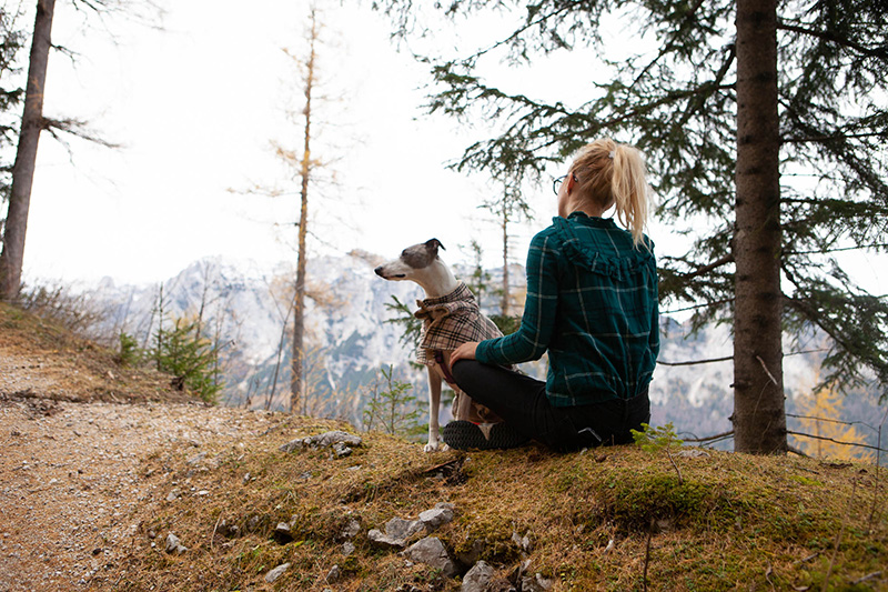Aufstieg zum Blaueisgletscher