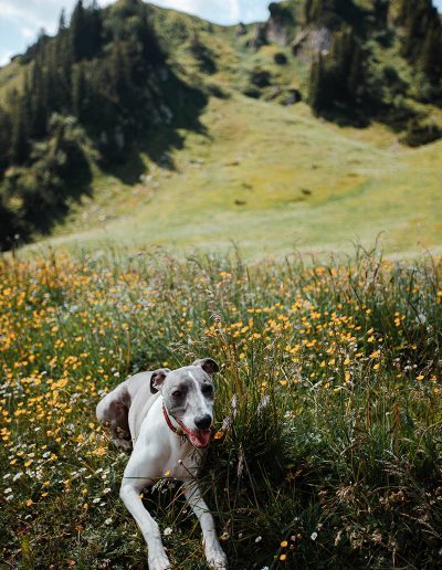 Rotwandhaus Aufstieg