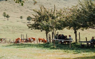 Die Hofalm ab Soilach bei Frasdorf