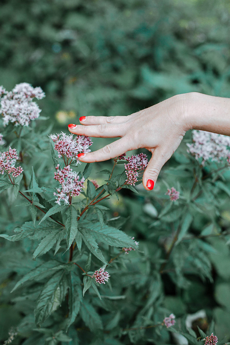 Aufstieg Watzmannhaus
