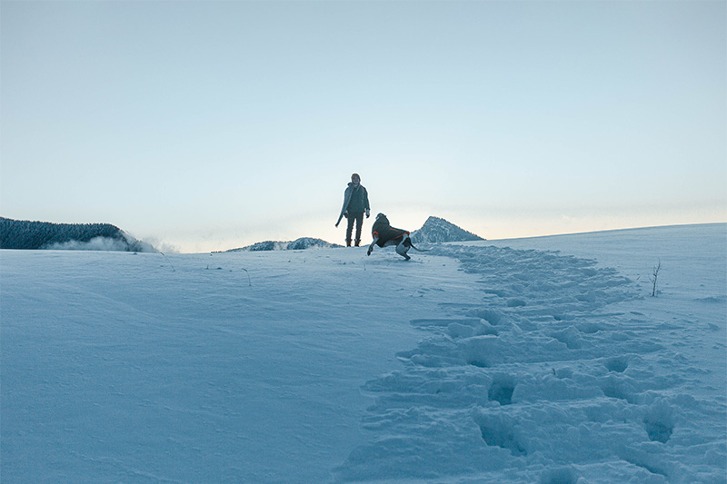 Abstieg zur Daffnerwandalm