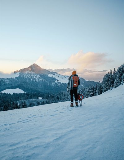 Abstieg zur Daffnerwandalm