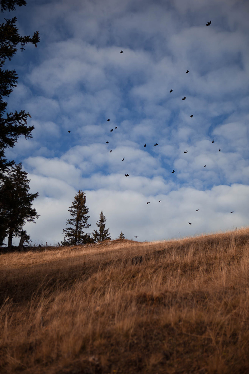 Aufstieg zum Hochgern