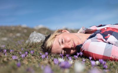 Krokusblüte am Heuberg